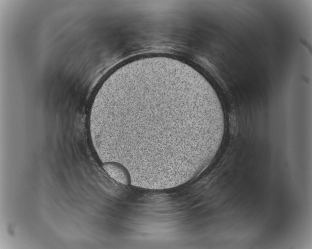 X0000101981260200808081606