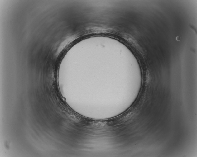 X0000101981261200808081606