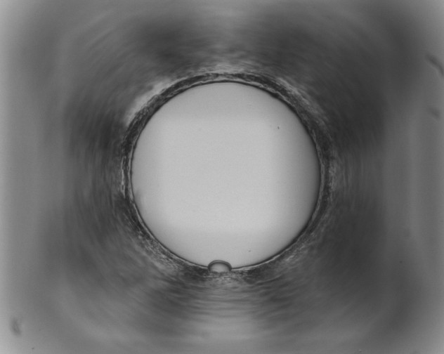 X0000101981262200808081606