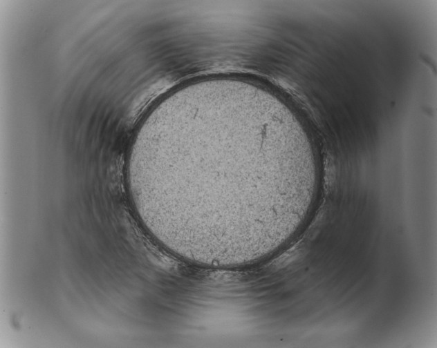 X0000101981265200808081606