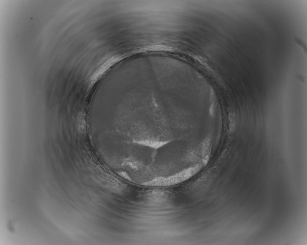 X0000101981266200808081606