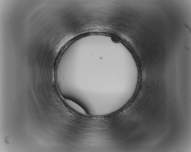 X0000101981267200808081606