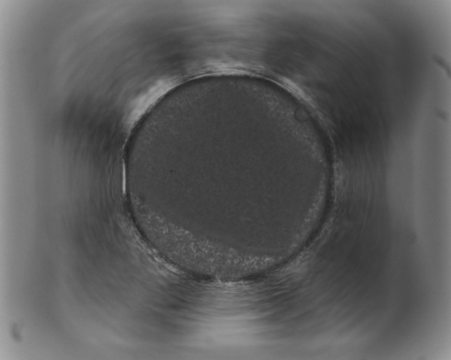 X0000101981269200808081606