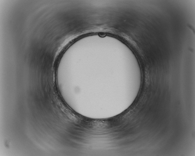 X0000101981270200808081606