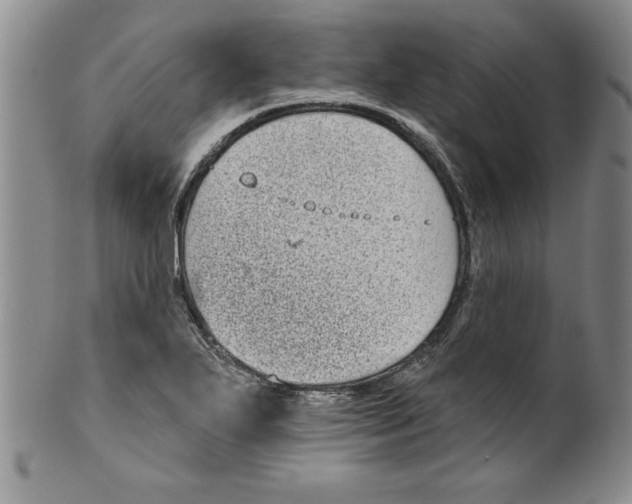 X0000101981271200808081606