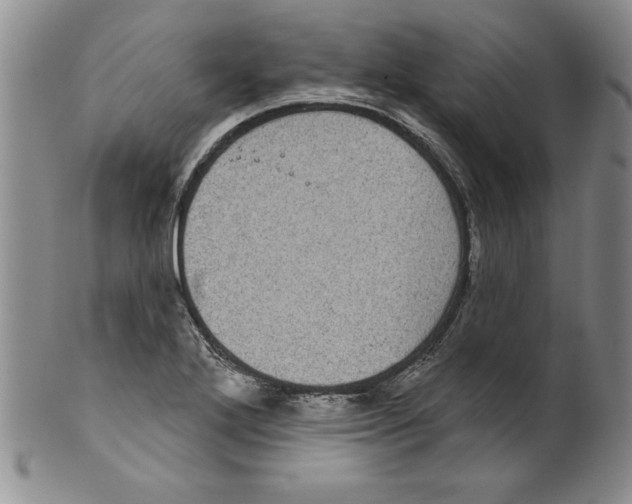 X0000101981272200808081606