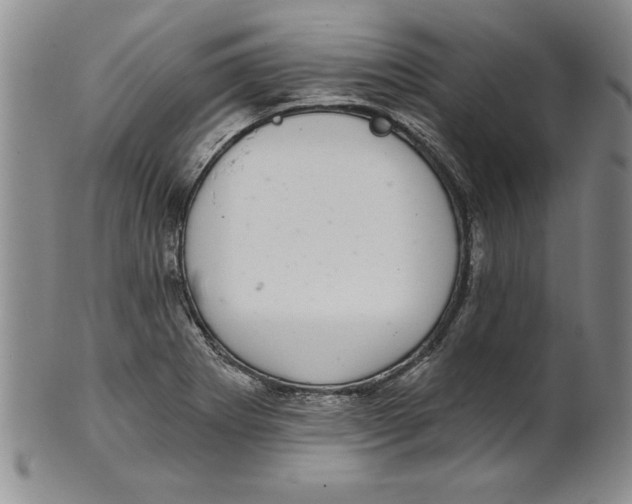 X0000101981273200808081606