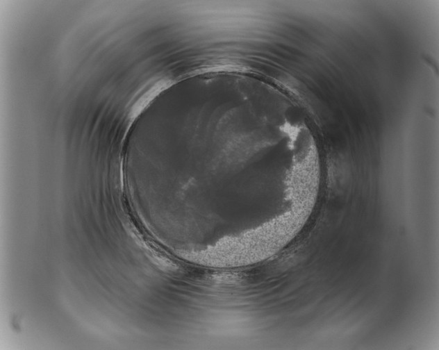 X0000101981274200808081606