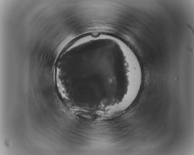 X0000101981275200808081606