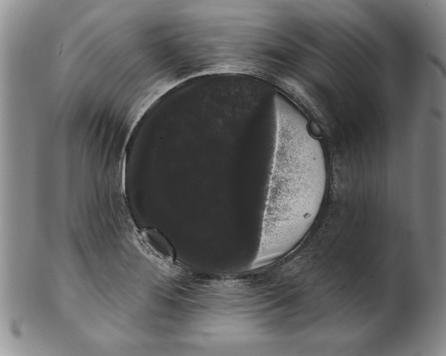 X0000101981276200808081606