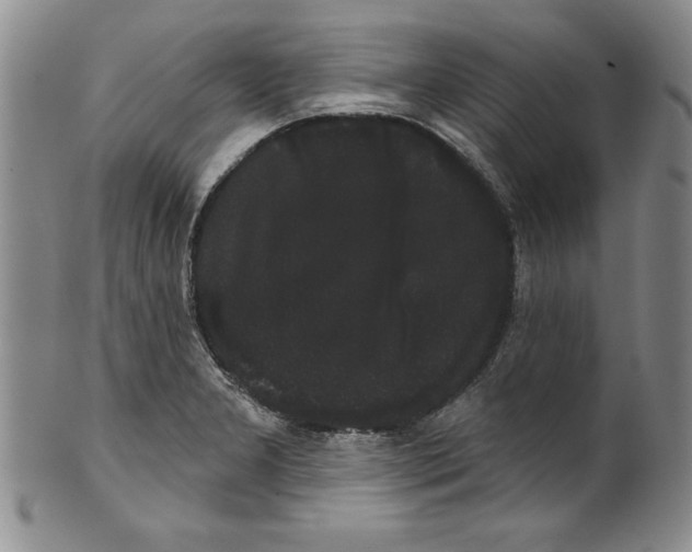 X0000101981277200808081606