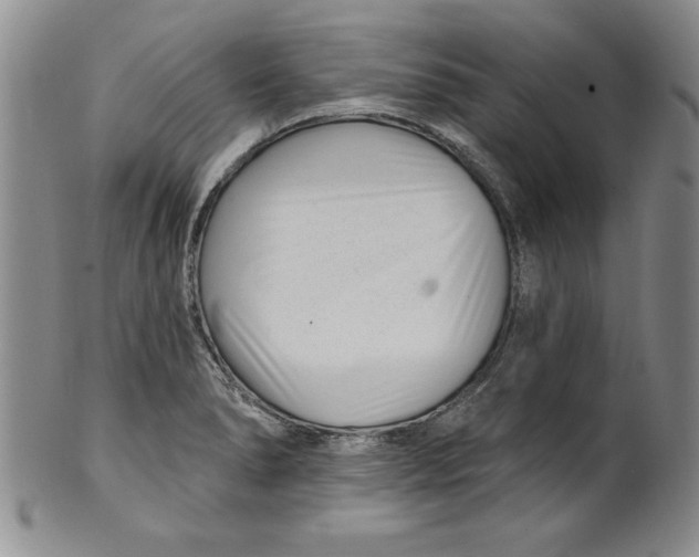 X0000101981278200808081606