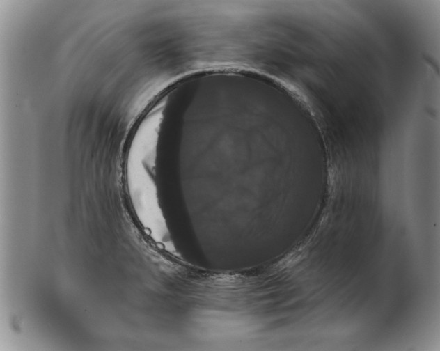 X0000101981279200808081606