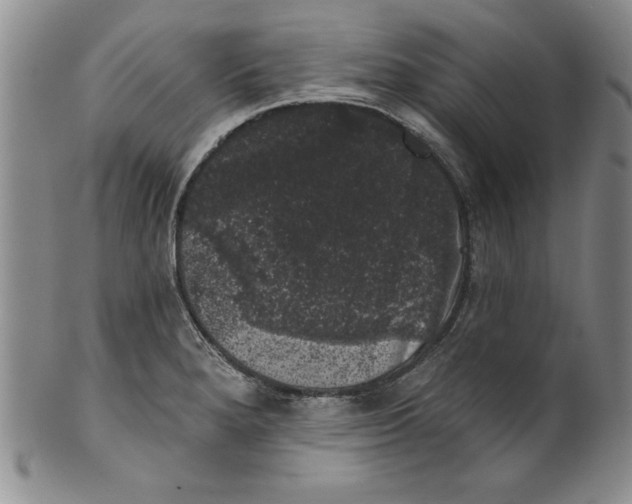 X0000101981280200808081606