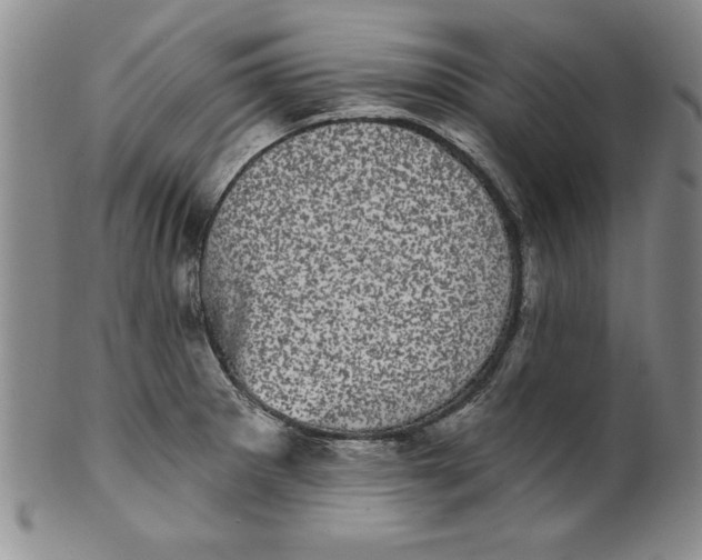 X0000101981281200808081606