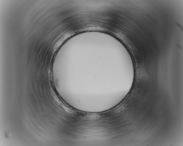 X0000101981282200808081606