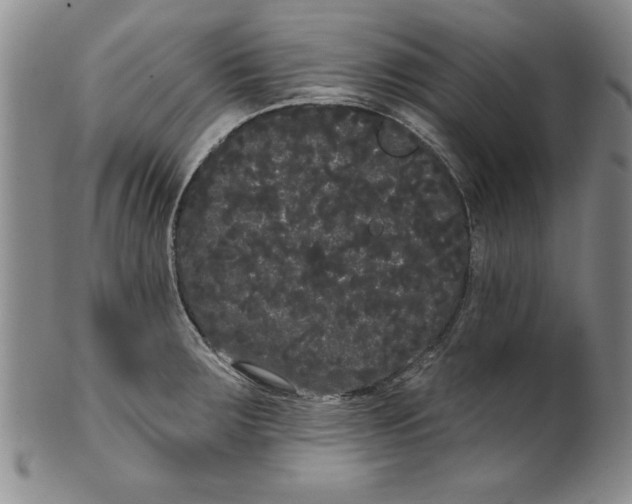 X0000101981283200808081605