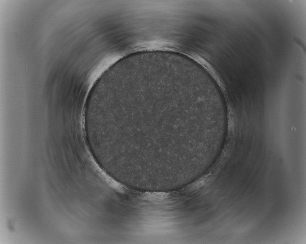 X0000101981285200808081605