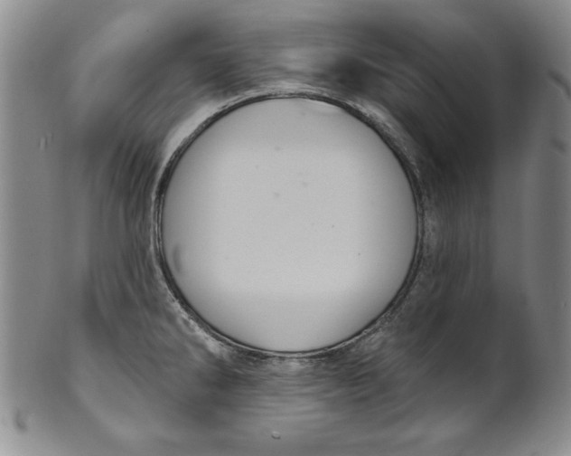 X0000101981286200808081605