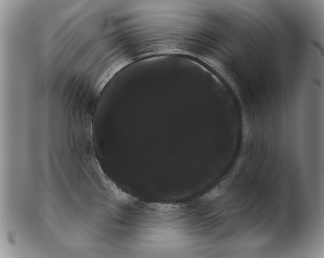 X0000101981289200808081605