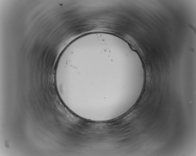 X0000101981292200808081605