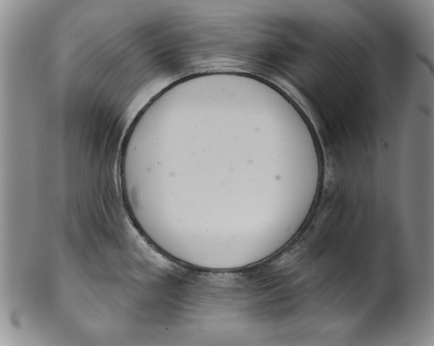 X0000101981293200808081605