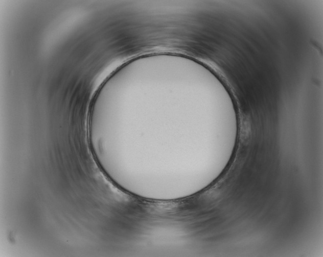 X0000101981294200808081605