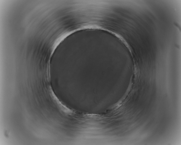 X0000101981295200808081605