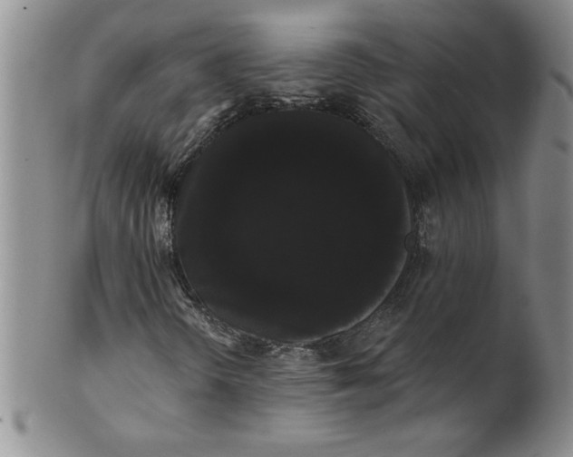 X0000101981298200808081604