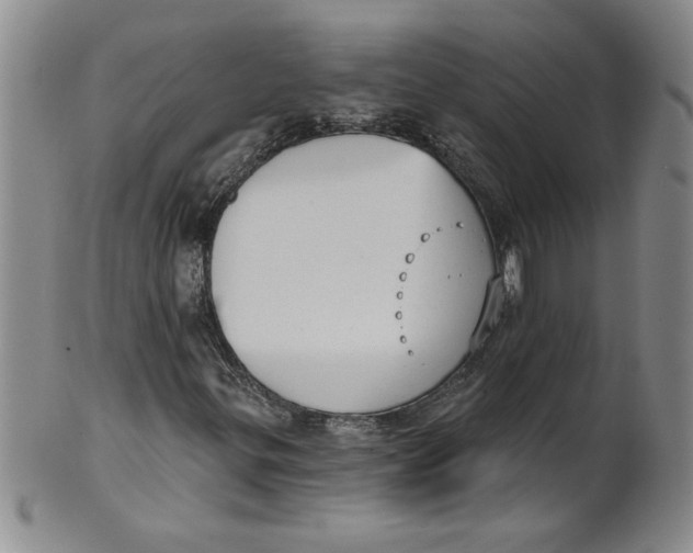 X0000101981299200808081604