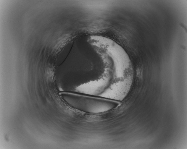 X0000101981300200808081604