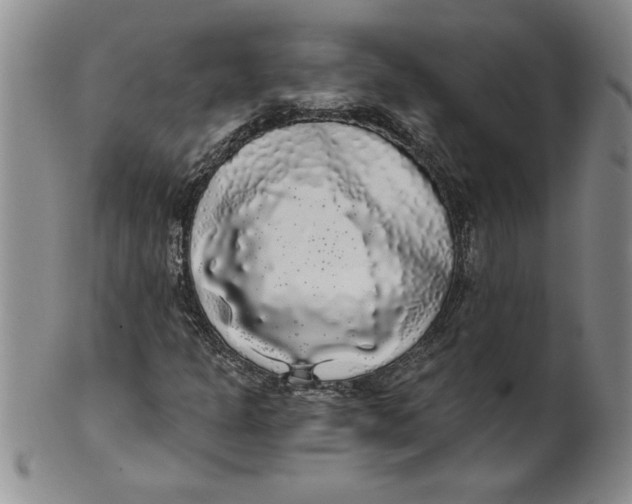 X0000101981301200808081604