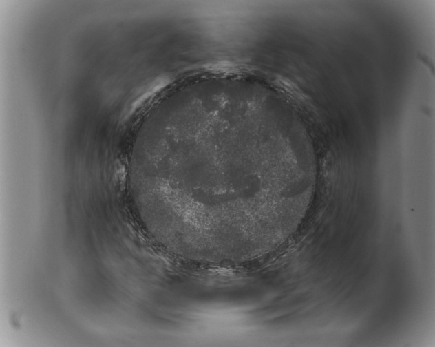 X0000101981302200808081604