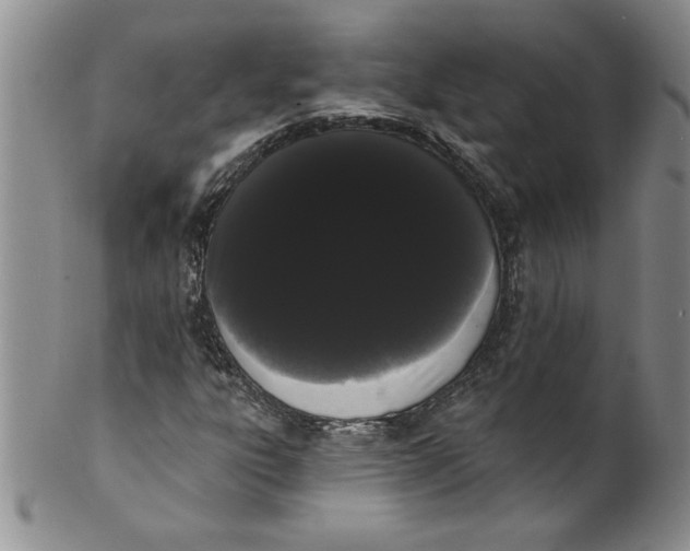 X0000101981303200808081604