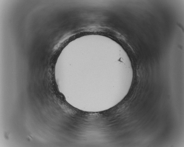 X0000101981304200808081604