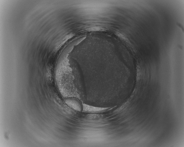 X0000101981305200808081604