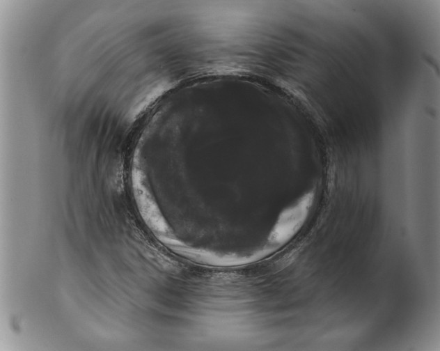 X0000101981306200808081604