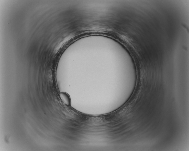 X0000101981307200808081604