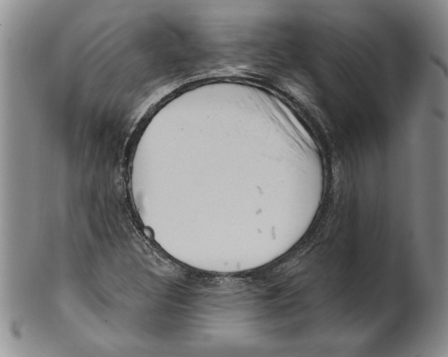 X0000101981308200808081604