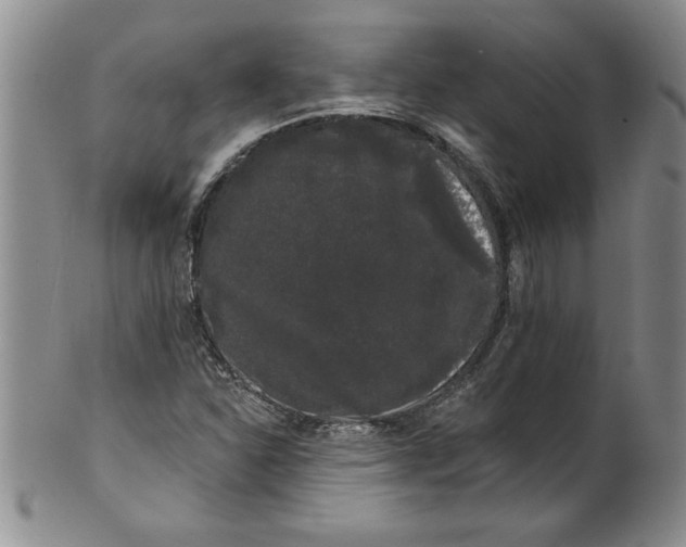 X0000101981310200808081605