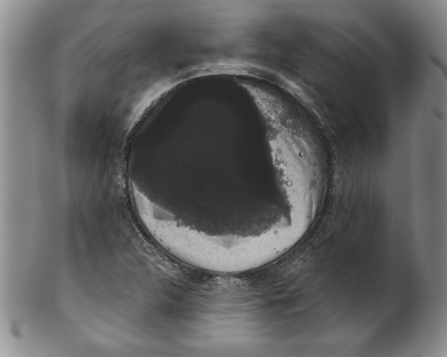 X0000101981312200808081605