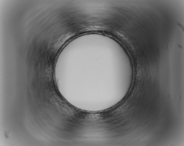 X0000101981313200808081605