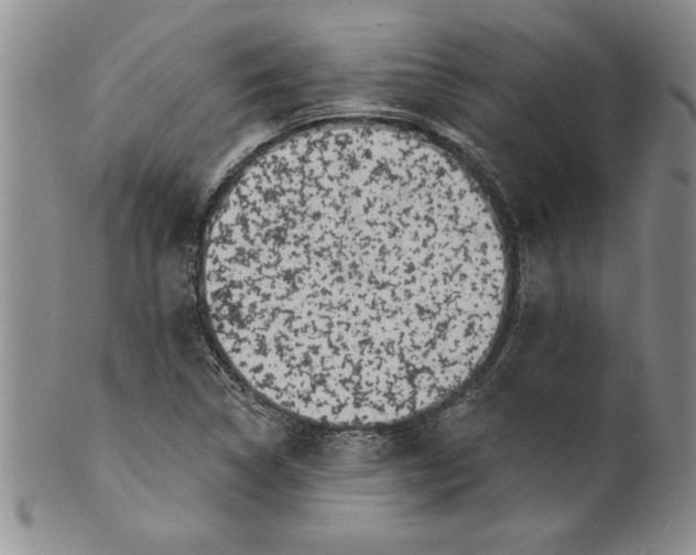 X0000101981314200808081605