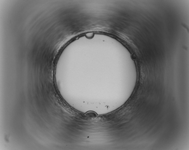 X0000101981316200808081605