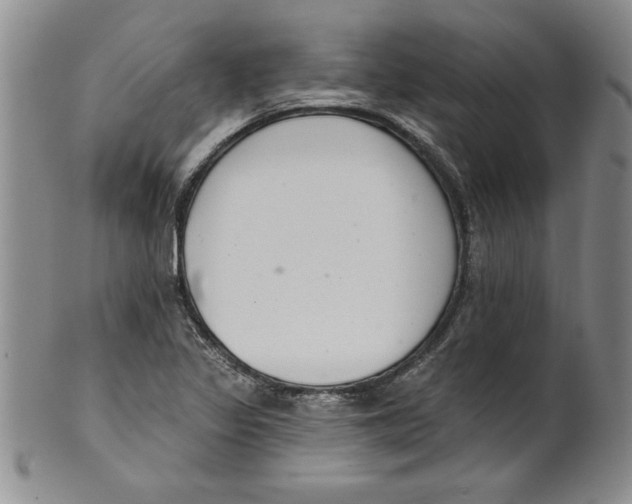 X0000101981317200808081605