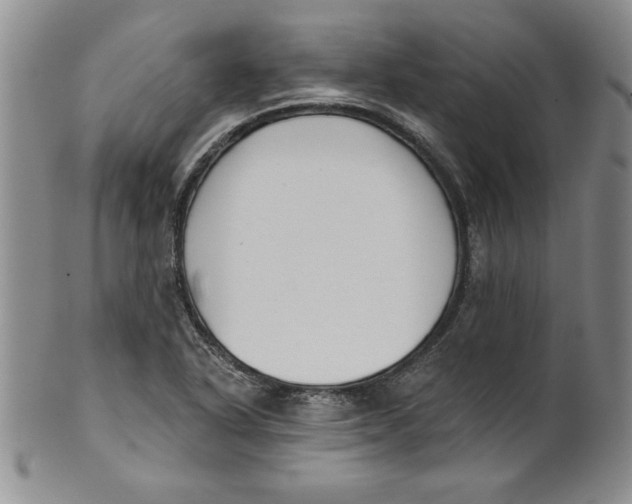 X0000101981318200808081605