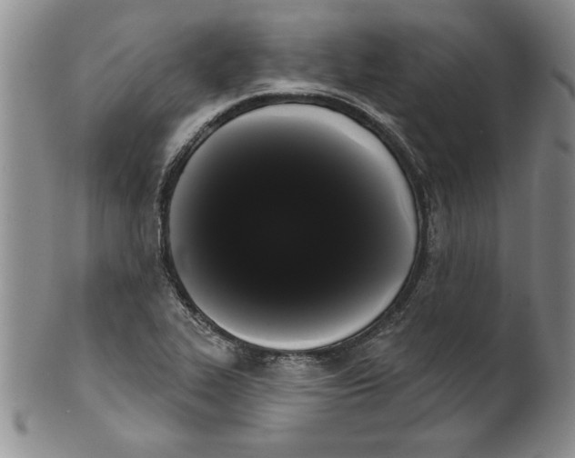 X0000101981319200808081605