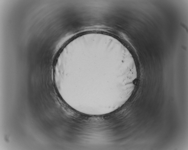 X0000101981320200808081605