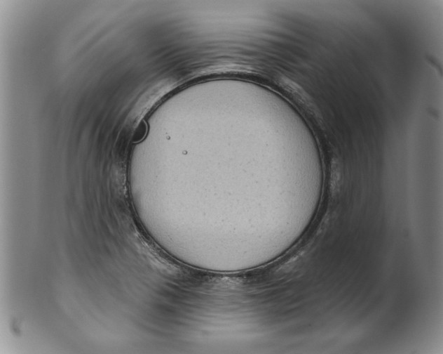 X0000101981321200808081605