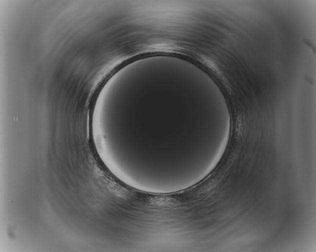 X0000101981323200808081605